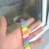 picture_00355.jpg